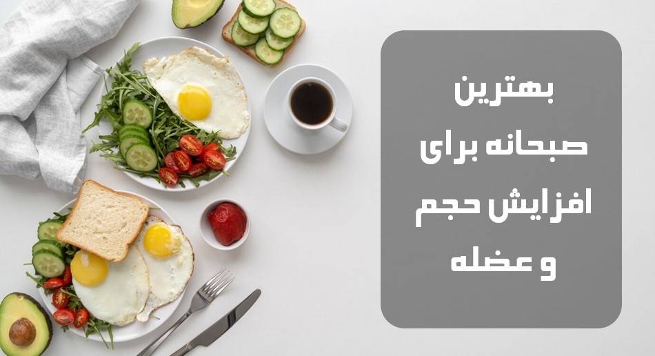 بهترین صبحانه برای افزایش حجم و عضله